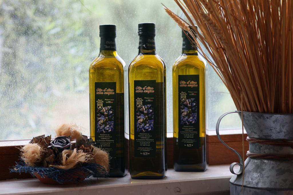 Agricostella Agriturismo 비에스테 외부 사진