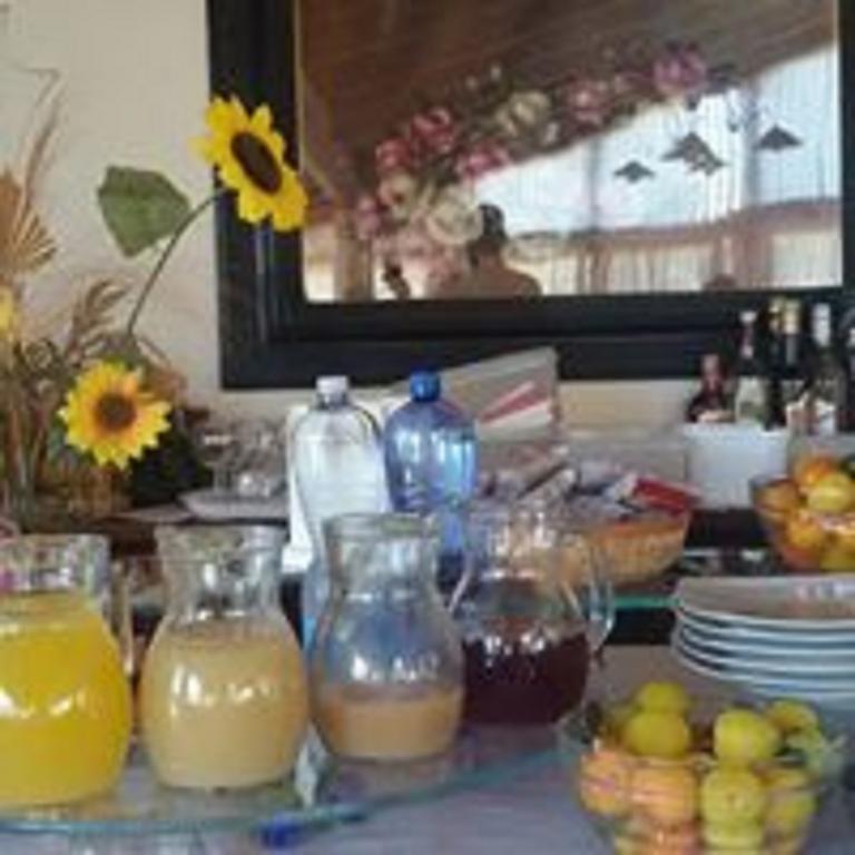 Agricostella Agriturismo 비에스테 외부 사진