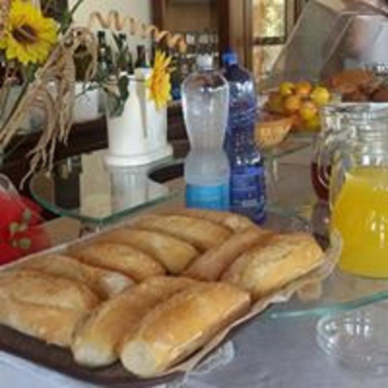Agricostella Agriturismo 비에스테 외부 사진